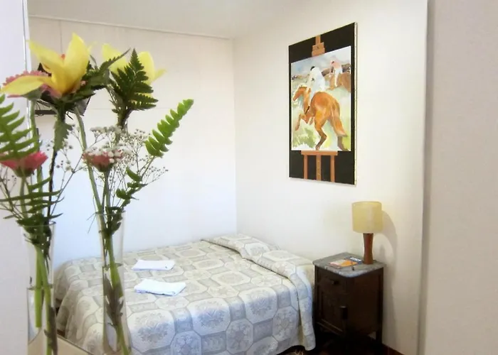 두아스 나송이스 *